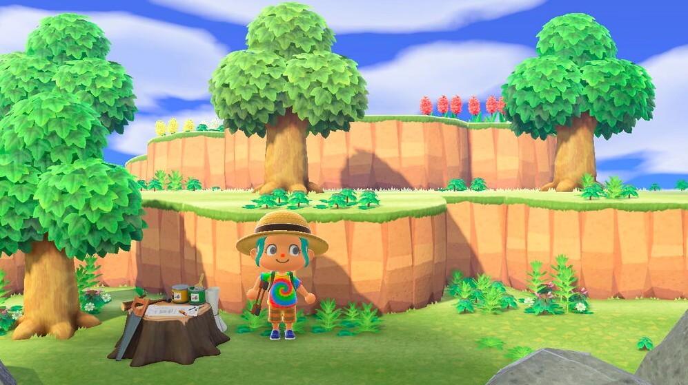  《動物森友會》山島