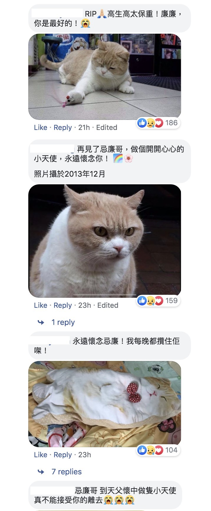 忌廉哥 與 忌廉家族 Facebook