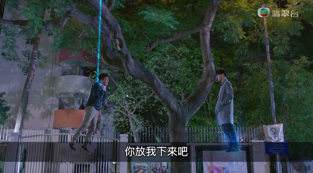 TVB