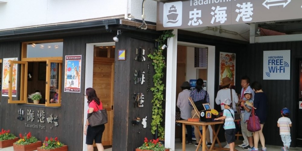 渡輪碼頭免費提供兔糧