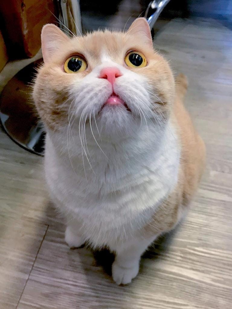 忌廉哥 與 忌廉家族 Facebook