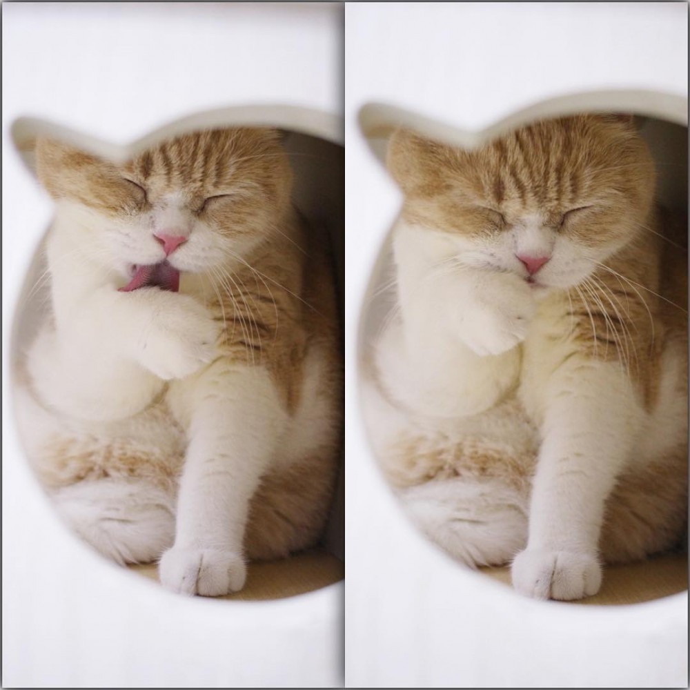 忌廉哥出過4本書