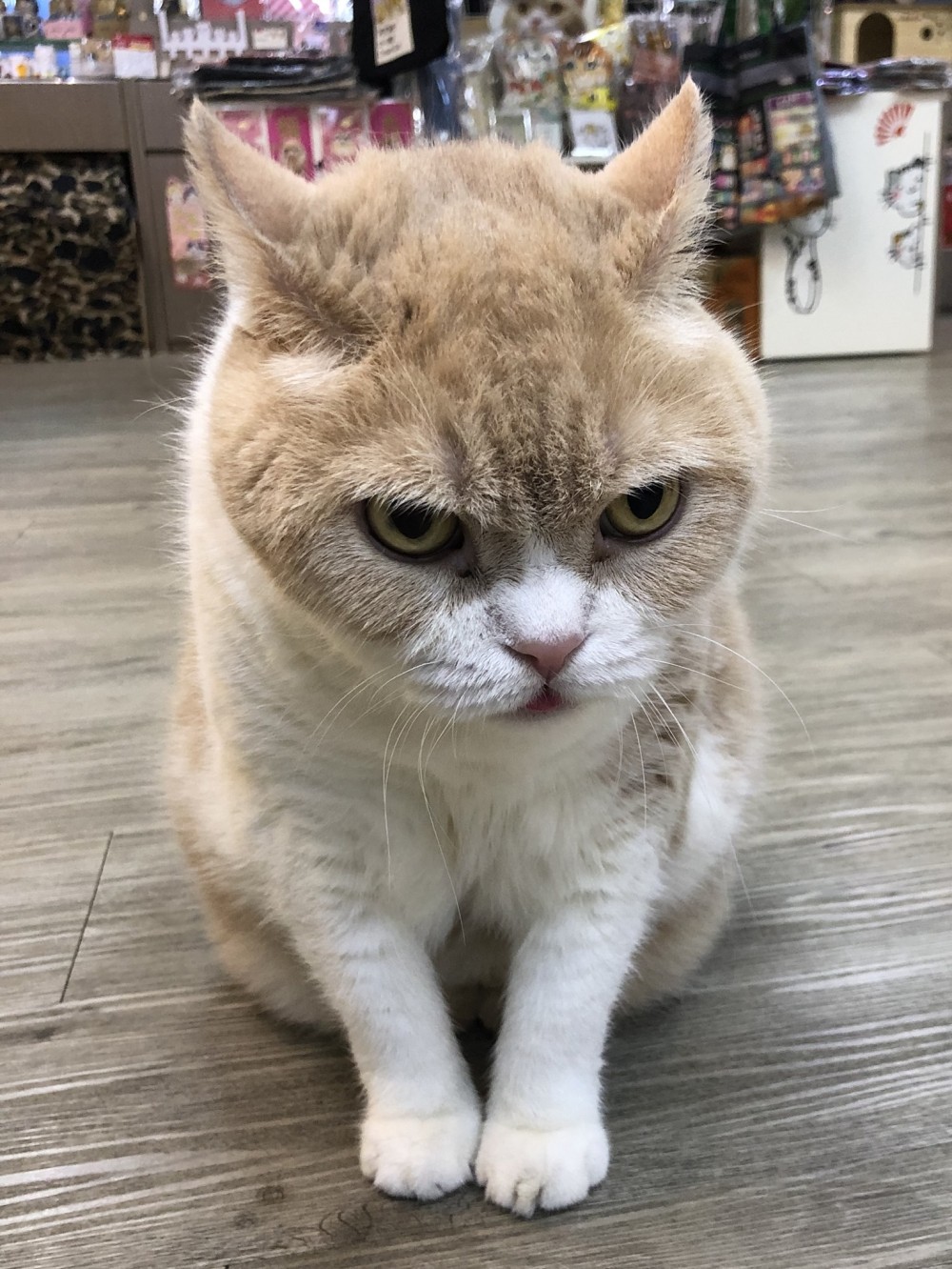 忌廉哥 與 忌廉家族 Facebook