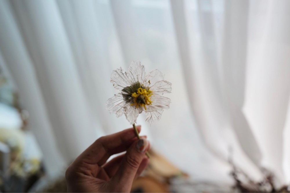 花芯都整埋。