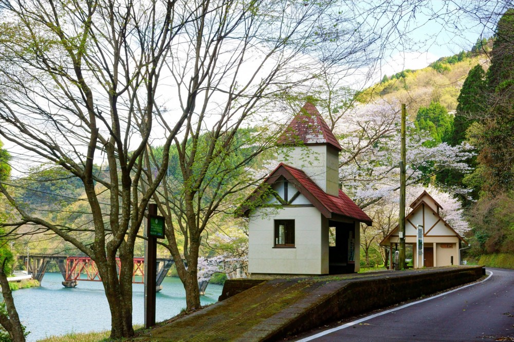 解禁後要「回鄉」