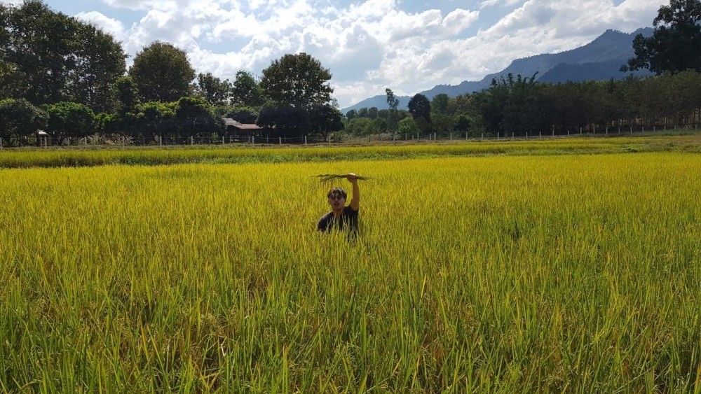 他亦在太太家鄉買下一塊田，望為香港人種米。