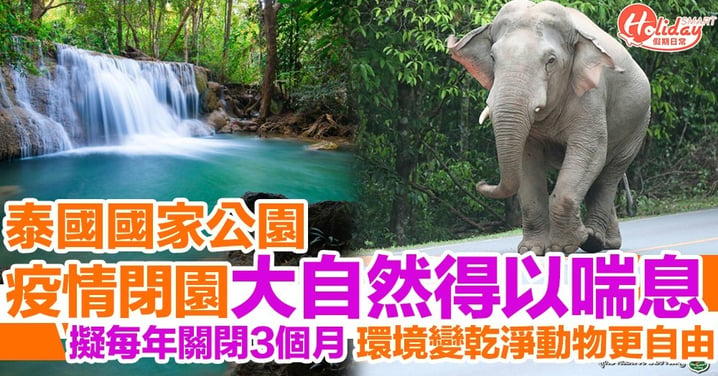 泰國157個國家公園計劃每年關閉3個月 等生態復甦，動物得以休息