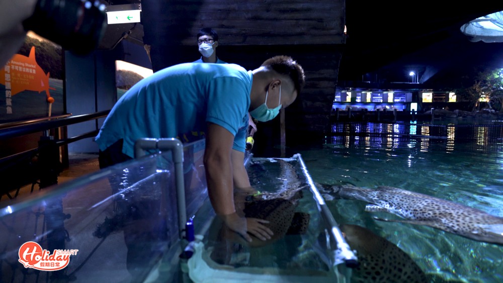 海洋公園7500隻動物或無家可歸