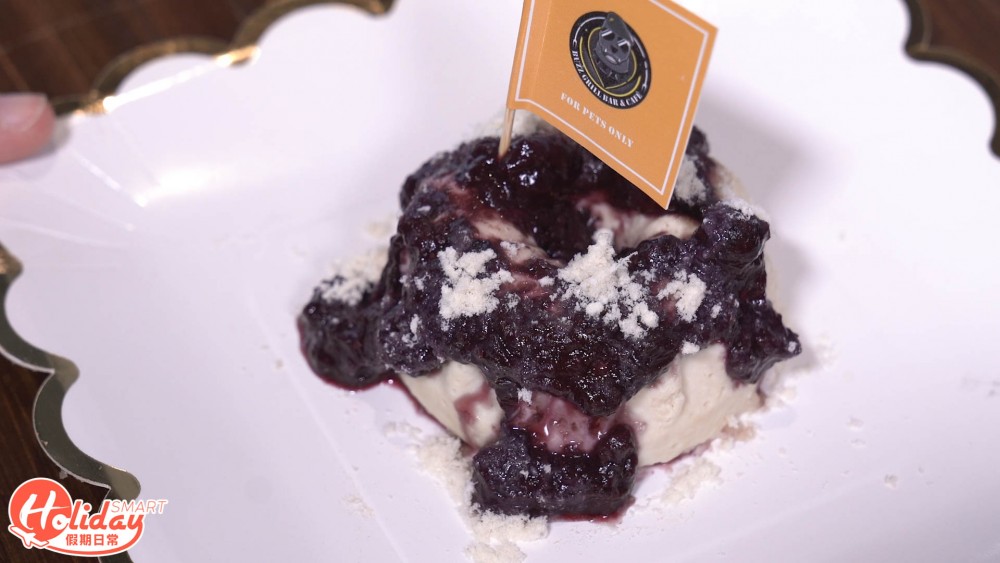 大埔新開動物友善西式餐廳