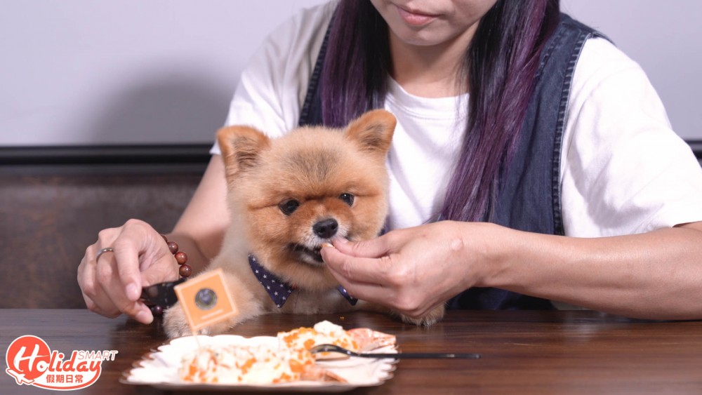 大埔新開動物友善西式餐廳
