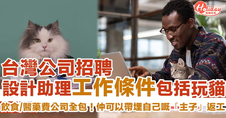 貓奴必試荀工！月薪過萬　台灣設計公司聘設計助理工作條件包括「玩貓」