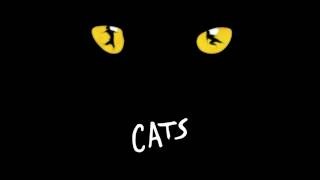 經典音樂劇《Cats》將於YouTube直播