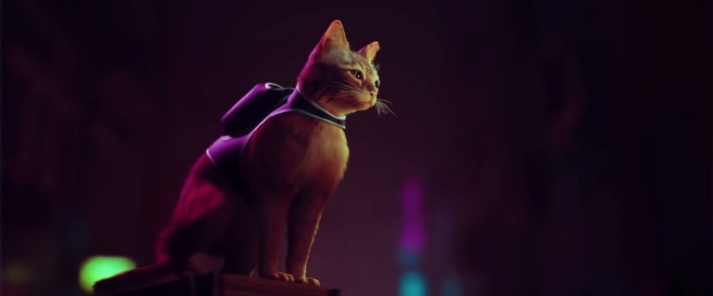 依隻以流浪貓為主角的冒險遊戲《Stray》,預計明年推出。