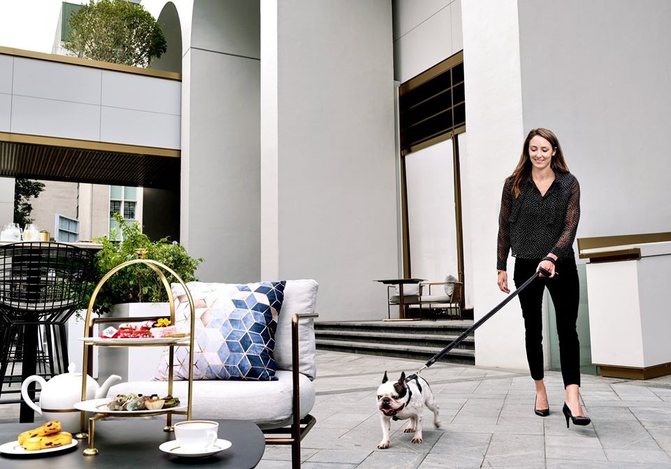 酒店更特別歡迎住客攜同 10 公斤或以下嘅寵物一同入住﹑享用餐飲服務