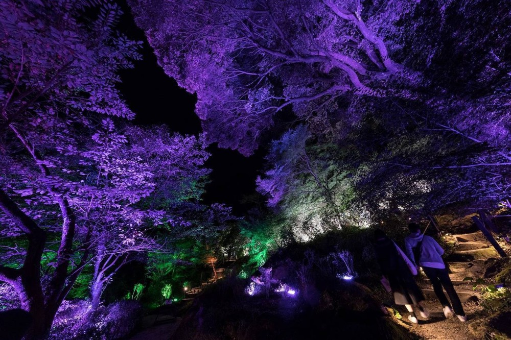 teamlab.art