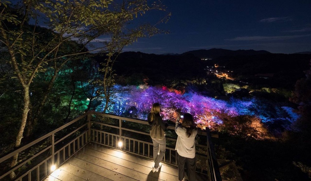 teamlab.art