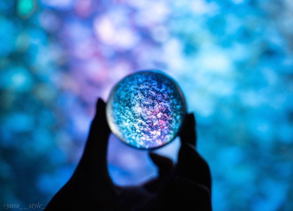 加茂水族館有過萬水母～