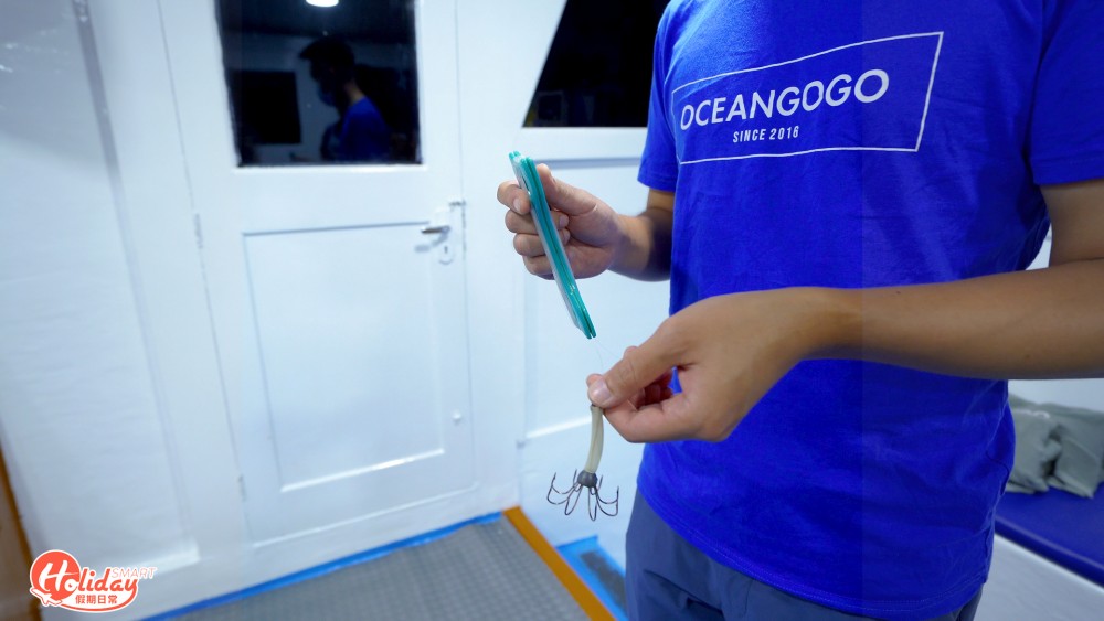 4小時西貢夜釣墨魚