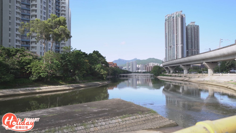 由大圍踩到去科學園,係新手必挑戰路線!