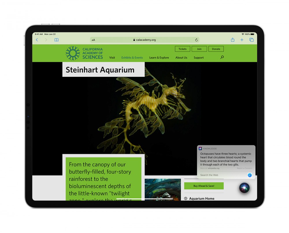 網頁搜尋亦會變得更強大且精良，用家只需簡單一按就能獲得搜尋結果。