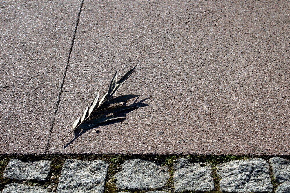 物件被太陽照射下唔會見到影子！