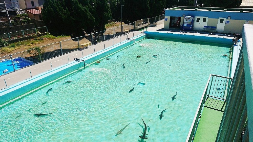 1135_80123174_04-1024x575