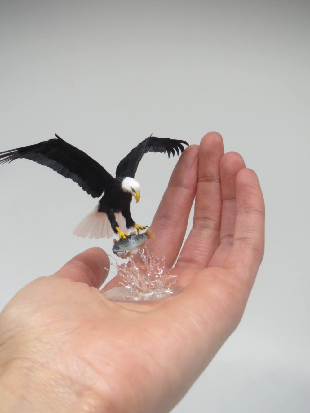 fanniminiature