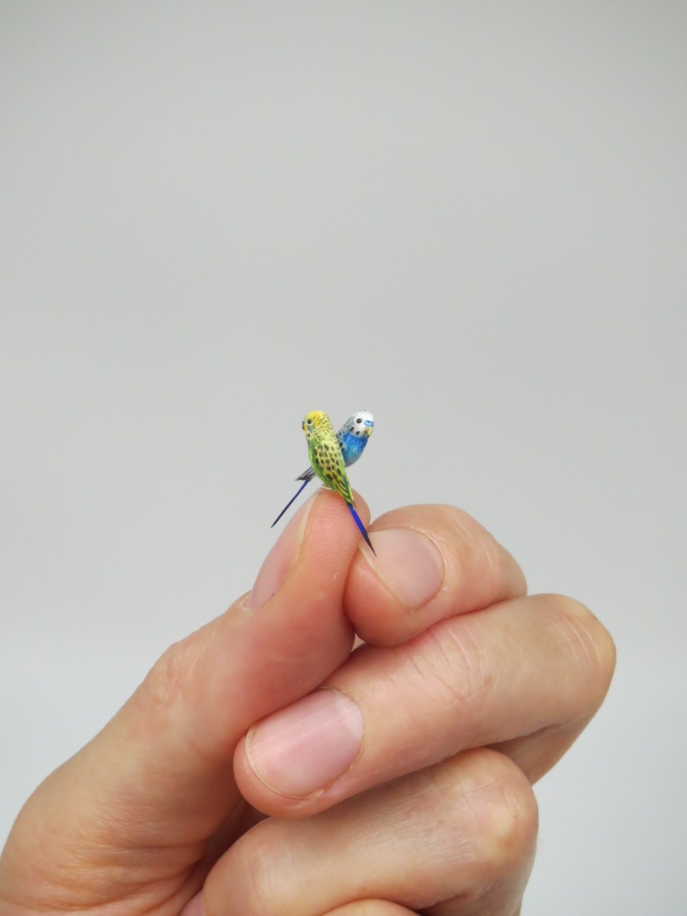 fanniminiature