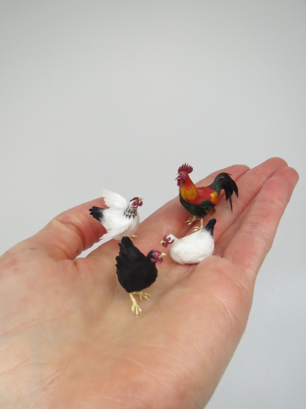 fanniminiature