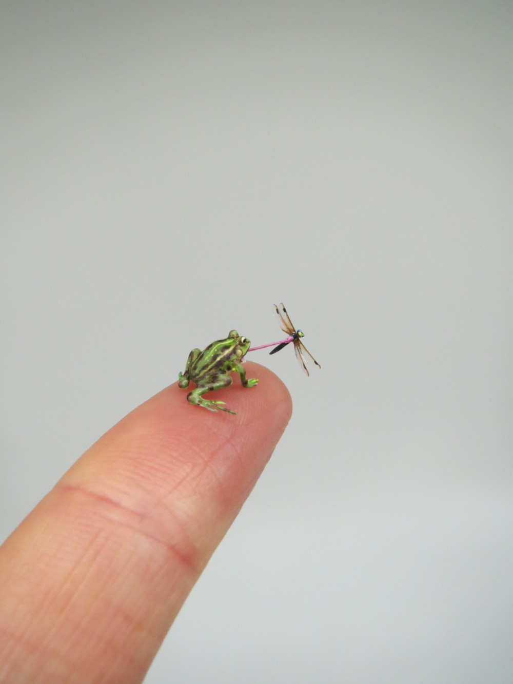 fanniminiature