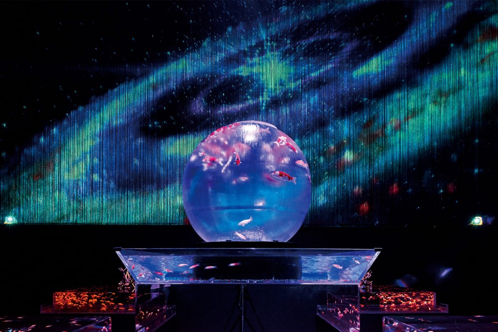 Art Aquarium 01
