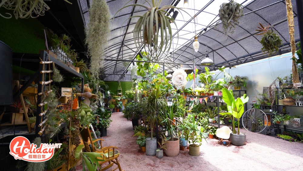 【大埔好去處】3萬呎大埔林村植物空間!