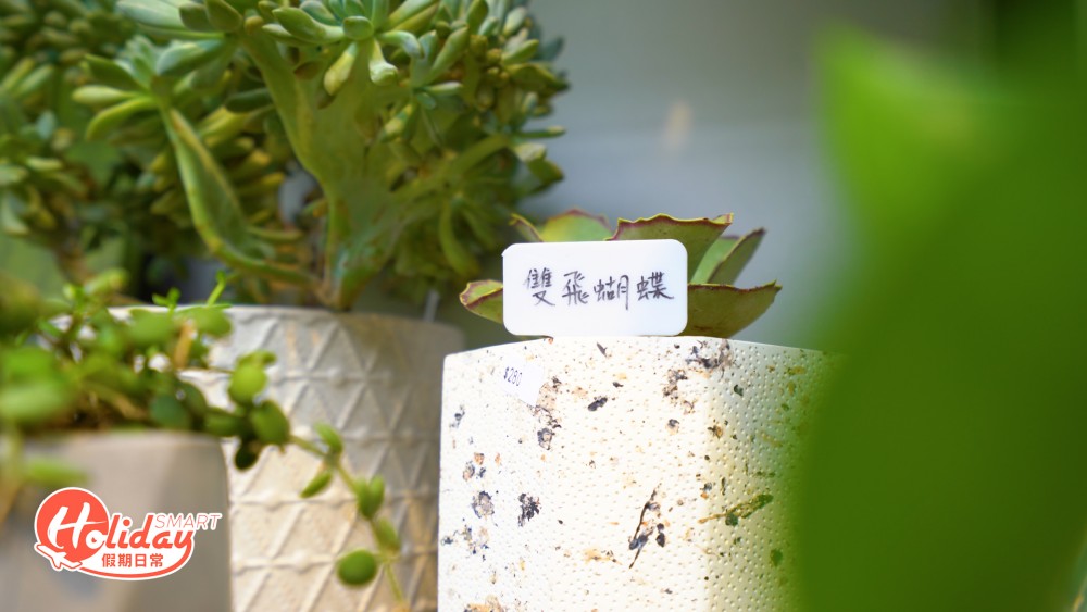 【大埔好去處】3萬呎大埔林村植物空間!