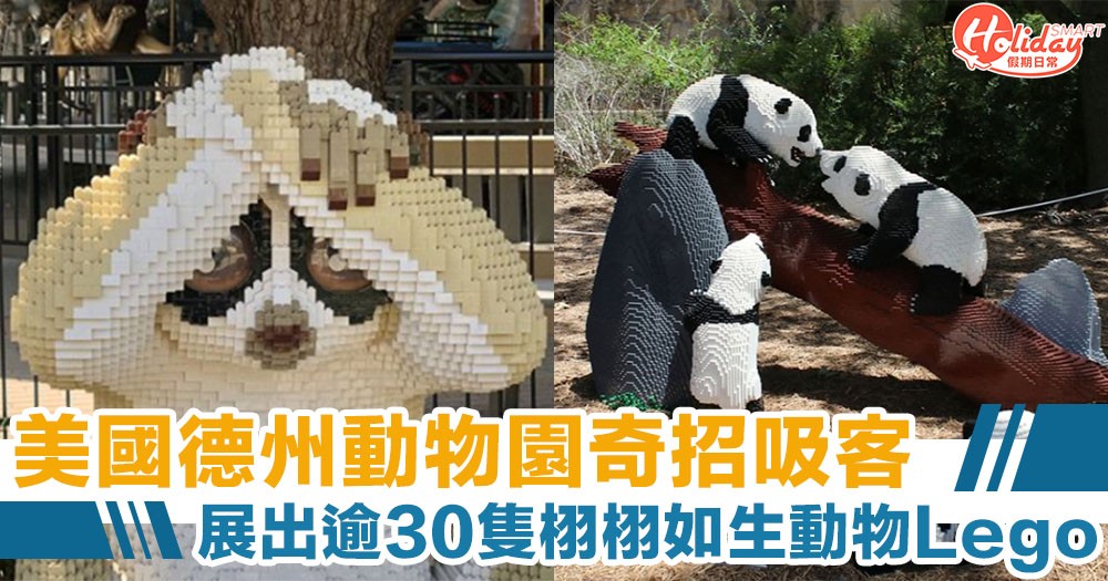 動物失業 美國德州動物園奇招吸客展出逾30隻栩栩如生lego動物 Holidaysmart 假期日常