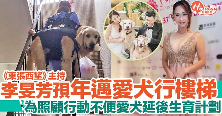 《東張西望》主持李旻芳孭年邁金毛行樓梯！為照顧愛犬延後生育計劃