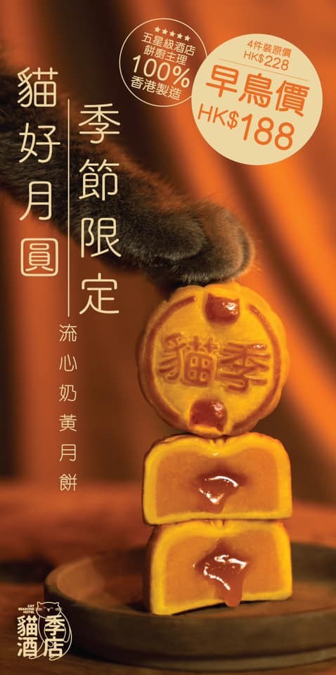 貓季酒店