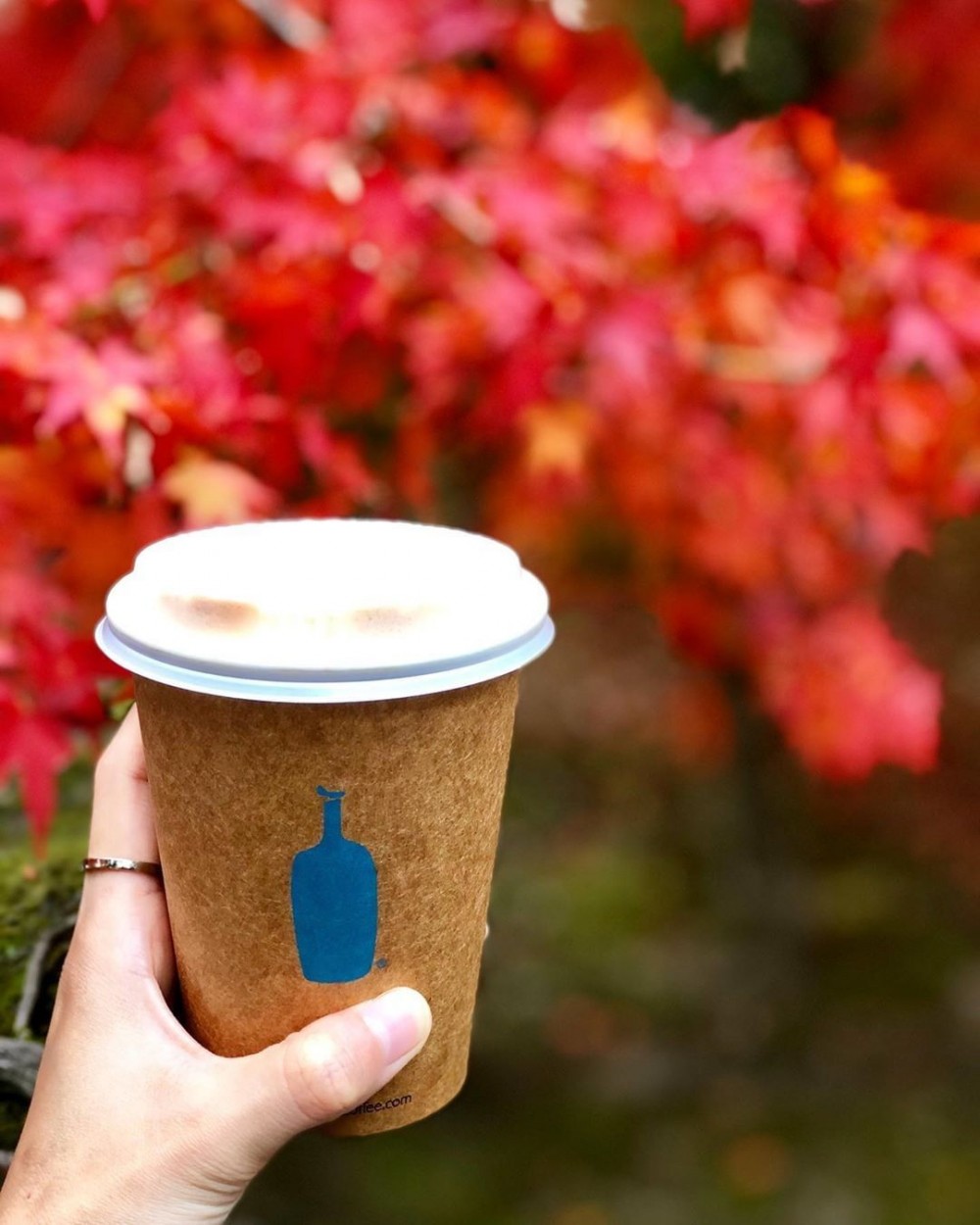 美國超人氣小藍瓶精品咖啡