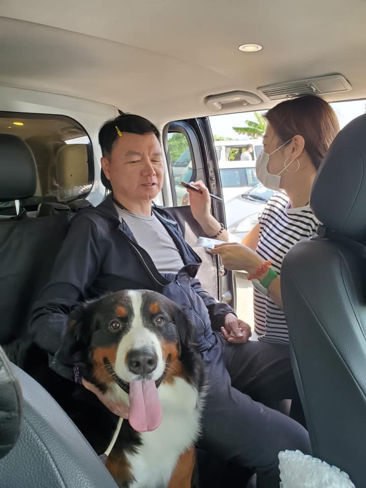 艾威夫婦雖未育有子女，但就養咗一隻伯恩山愛犬視如己出