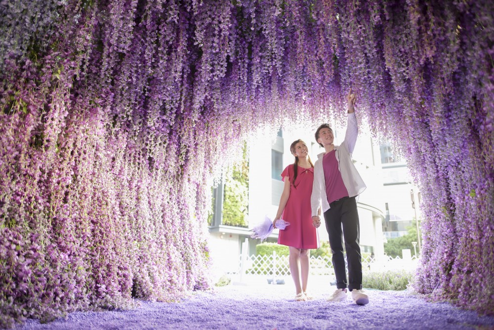 紫在北角匯花夏祭
