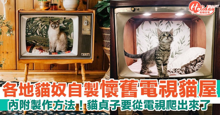 貓貞子要從電視爬出來了！各地貓奴自製懷舊電視貓屋 內附簡易製作方法！