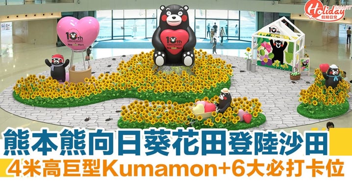 熊本熊Kumamon向日葵花田登陸沙田！4米高巨型Kumamon+6大必打卡位～
