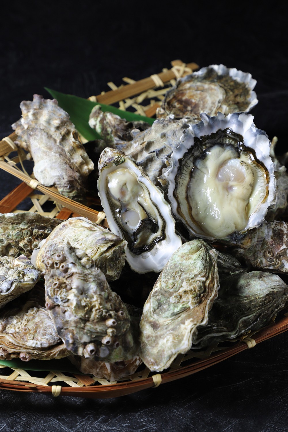 灣仔酒店日式自助餐6折優惠