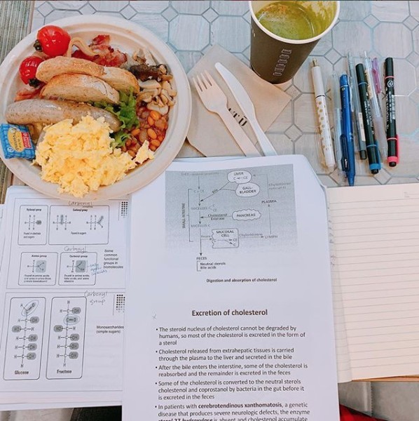 現時歐倩怡已以營養師身份成功接 job，為一間餐廳設計有營健康餐單。