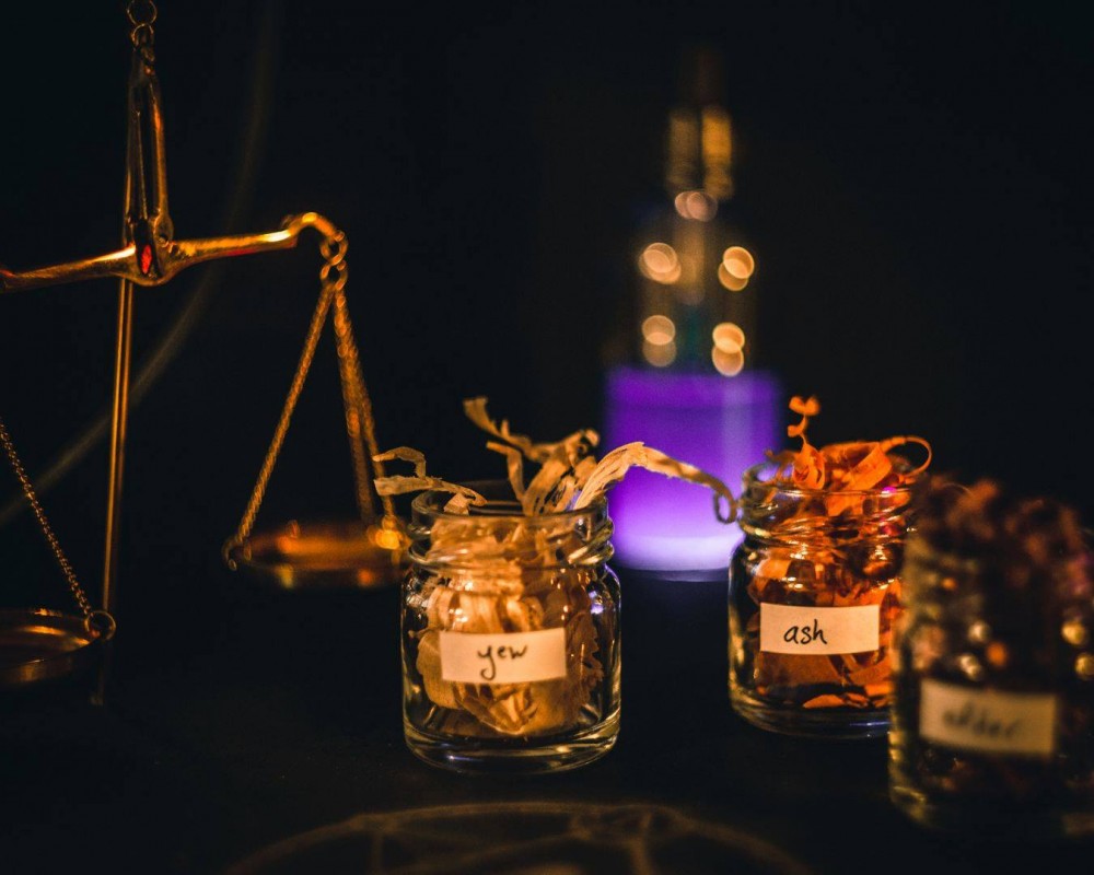 地庫嘅魔法溫室