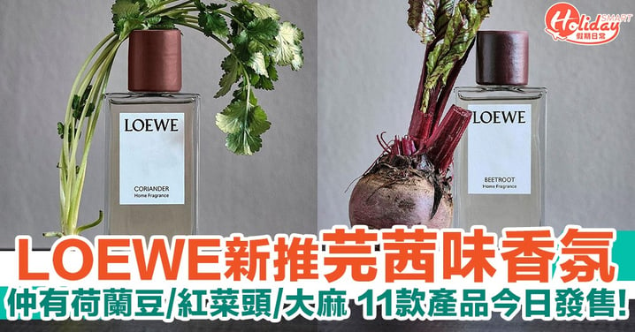LOEWE新推芫茜味香氛！仲有荷蘭豆/紅菜頭/大麻 11款香氛產品今日正式發售！