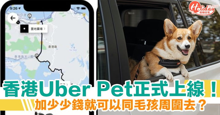 香港Uber Pet正式上線！加多廿蚊就可以帶埋寵物周圍去？