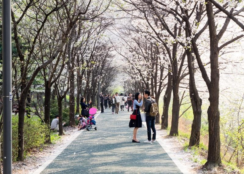 visitseoul