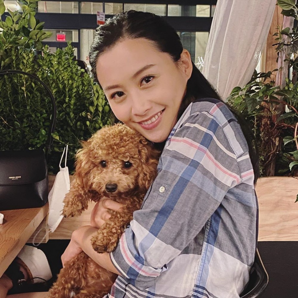 陳法拉2014年遠赴美國喺紐約著名學府茱莉亞學院攻讀4年制戲劇碩士課程(Master of Fine Arts)