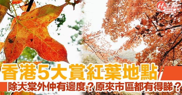 【香港紅葉季2020】5大賞楓葉打卡好去處！唔只得大棠　市區都有得睇㗎！