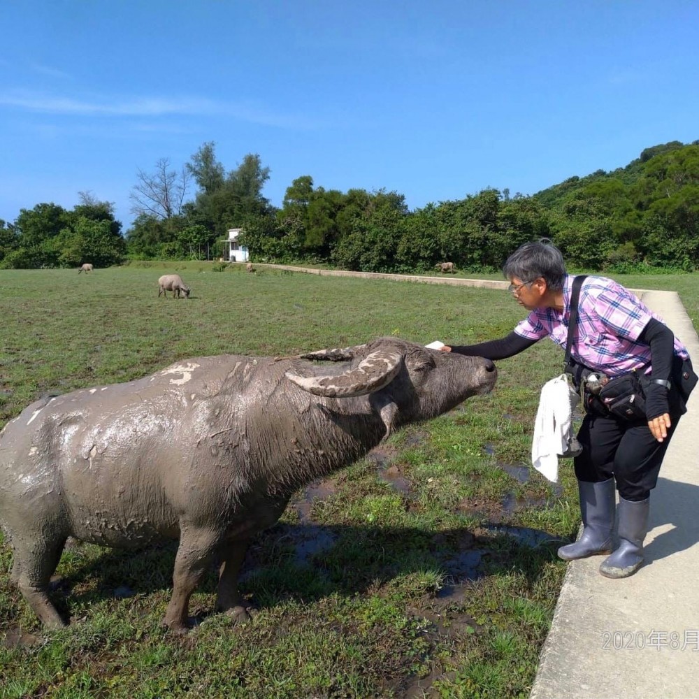 FB@interislandfestival